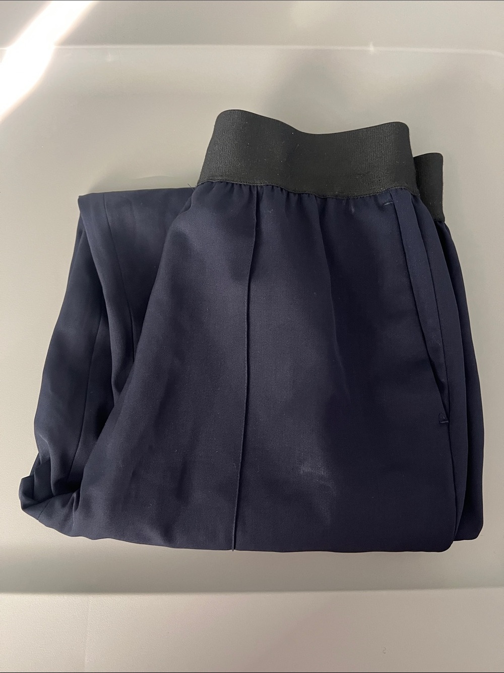 Everlane Wool Elastic Waist Pant Navy Size 0